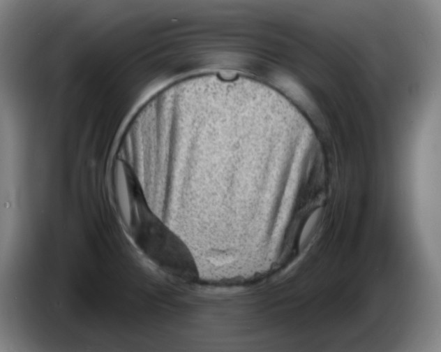 X0000085291284200703301930
