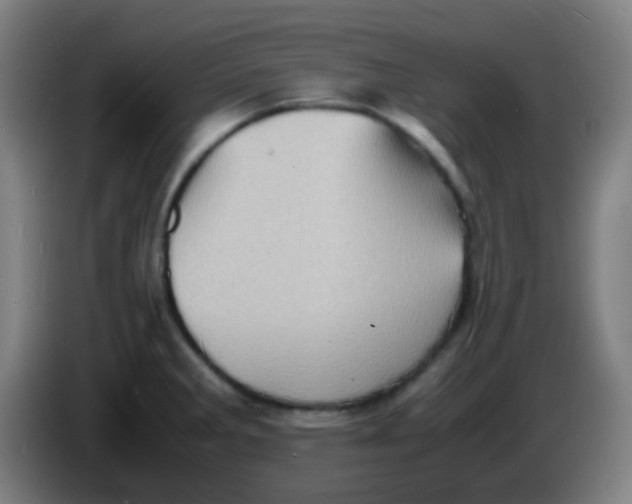 X0000085291285200703301930