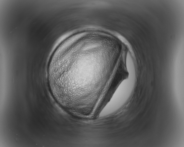 X0000085291287200703301930