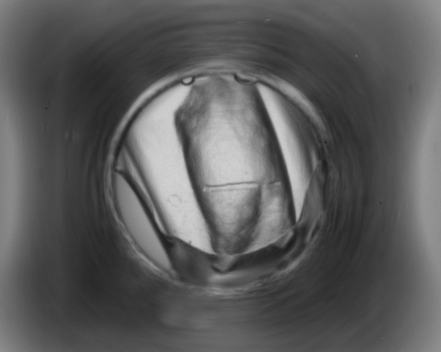 X0000085291288200703301930