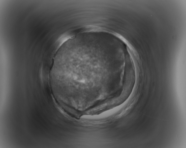 X0000085291289200703301930