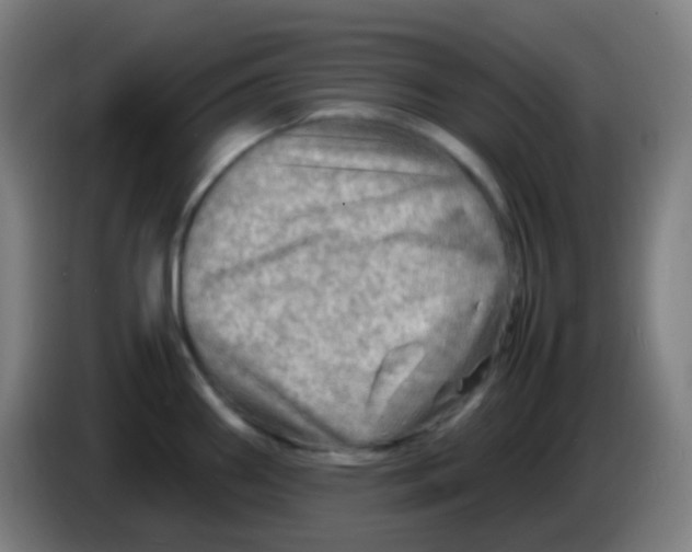 X0000085291290200703301930