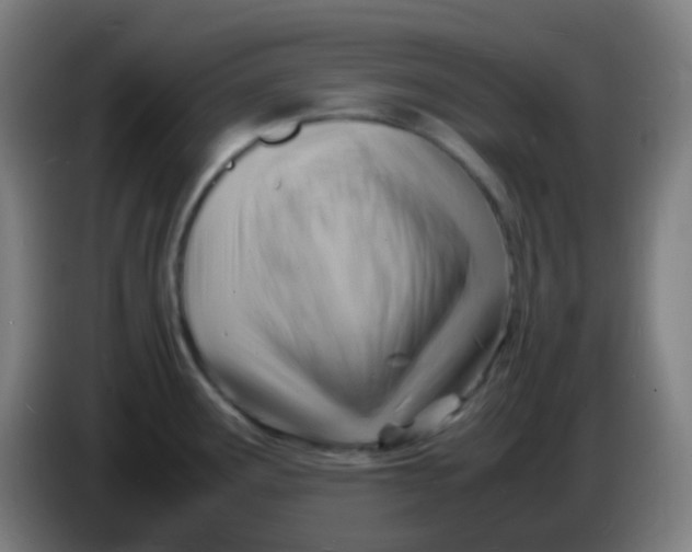 X0000085291291200703301930