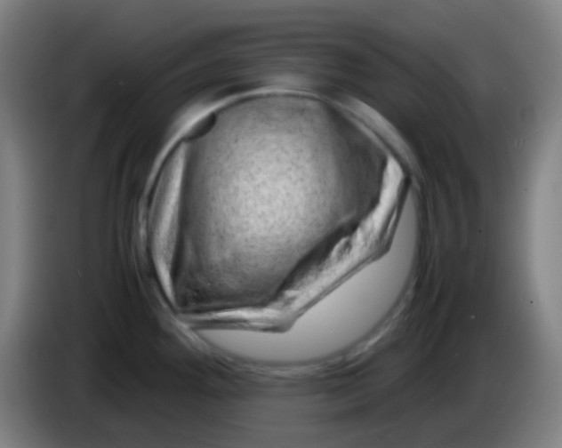X0000085291292200703301930