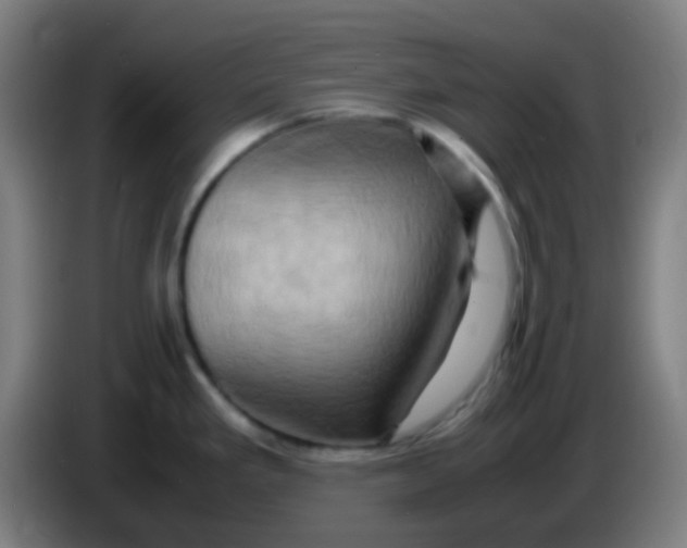 X0000085291293200703301930