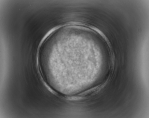 X0000085291294200703301930