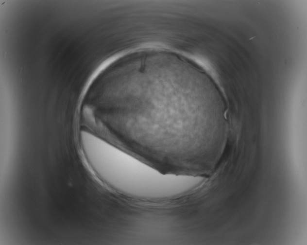 X0000085291295200703301930