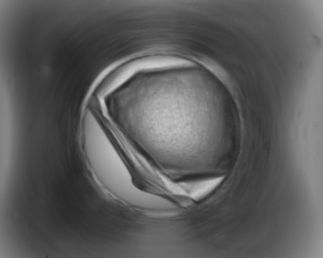 X0000085291296200703301930