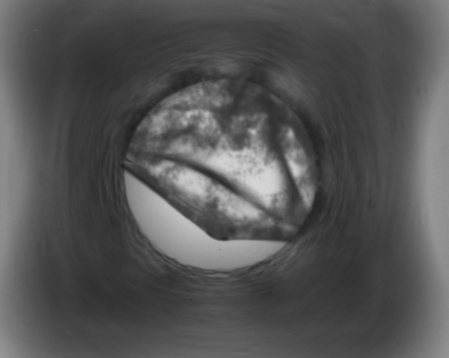 X0000085291297200703301929