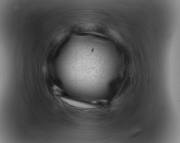 X0000085291298200703301929