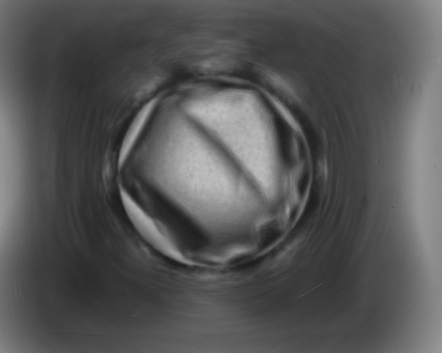 X0000085291300200703301929