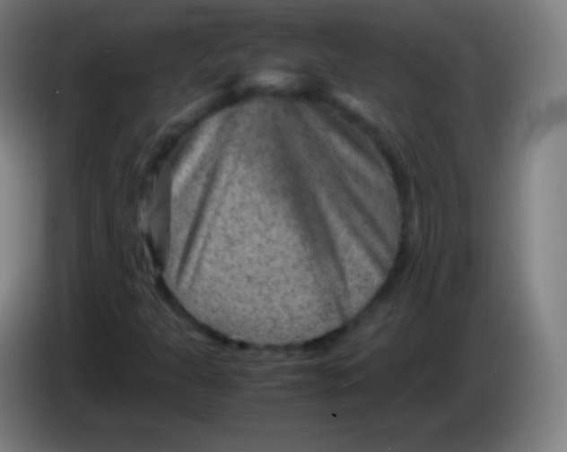 X0000085291301200703301929