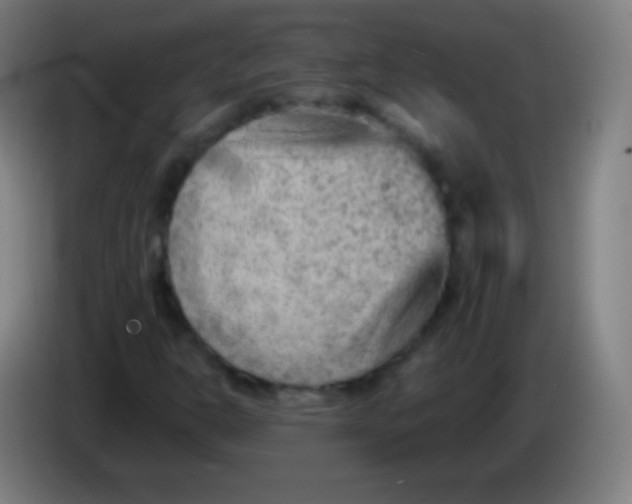 X0000085291302200703301929