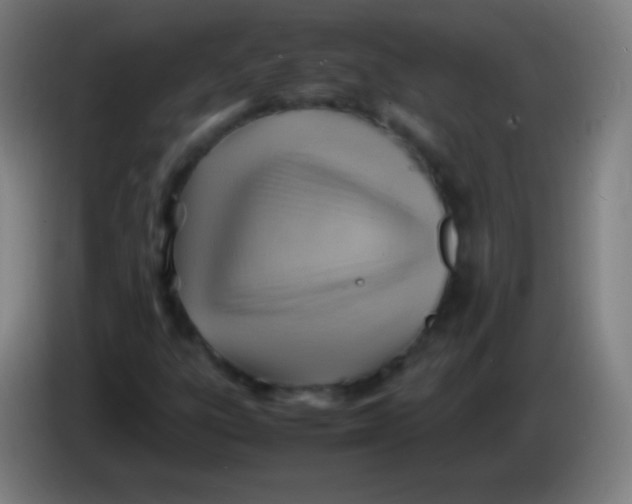 X0000085291303200703301929