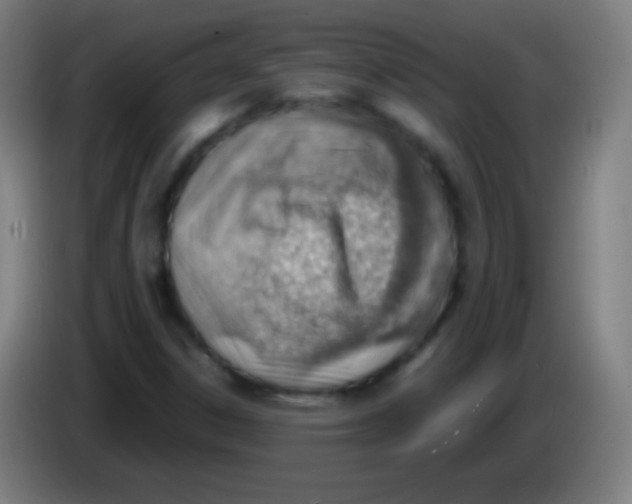 X0000085291306200703301929