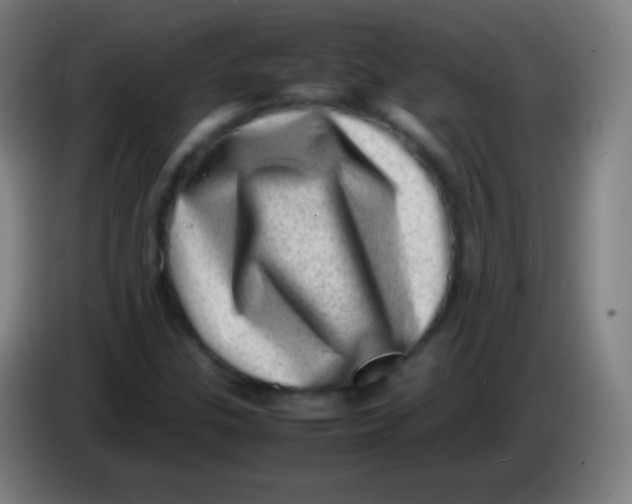 X0000085291307200703301929