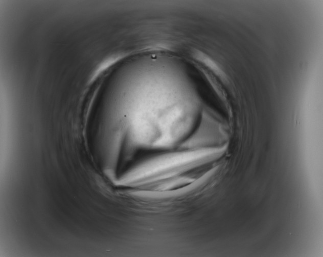 X0000085291308200703301929