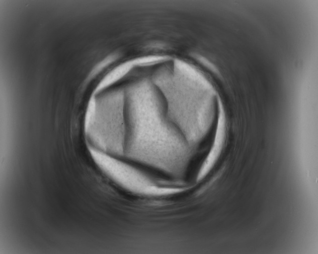 X0000085291309200703301929