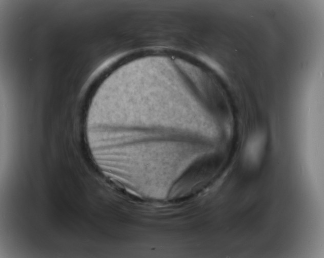 X0000085291311200703301929