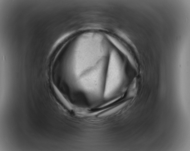 X0000085291312200703301929