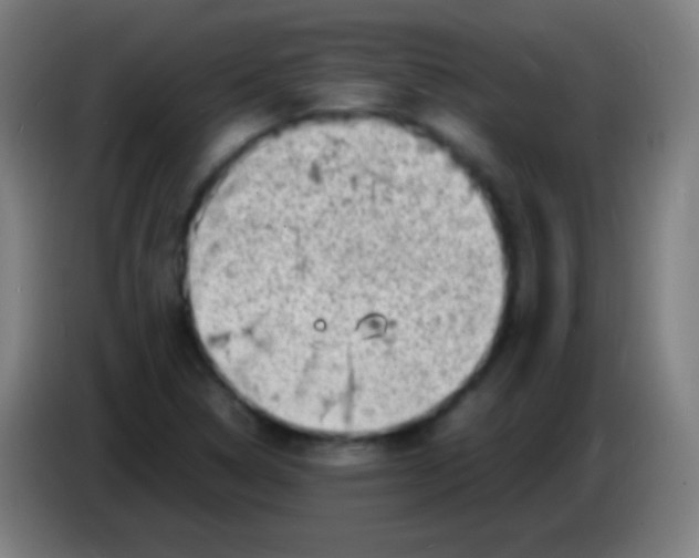 X0000085291314200703301929