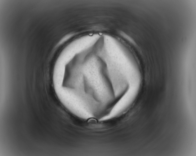X0000085291315200703301929