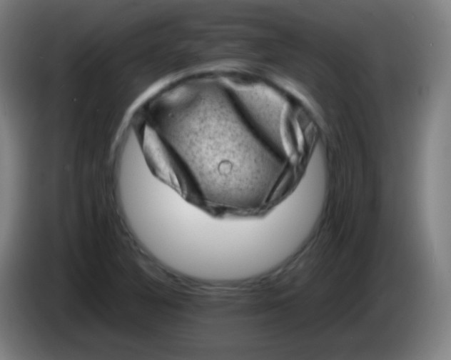 X0000085291316200703301929