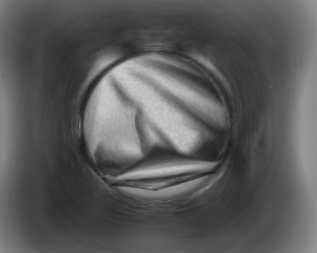 X0000085291317200703301929