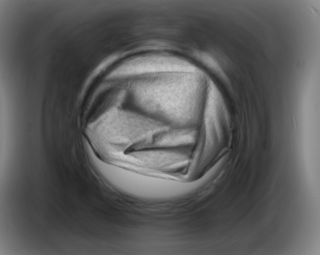X0000085291318200703301929
