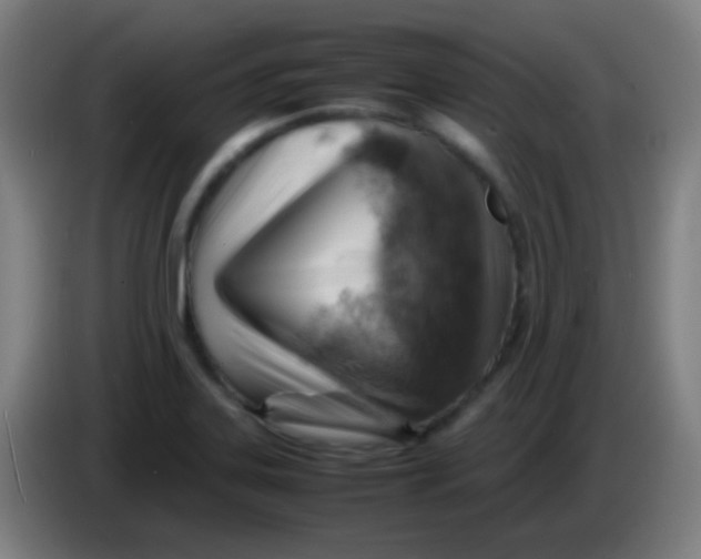 X0000085291323200703301929