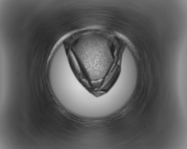 X0000085291324200703301929