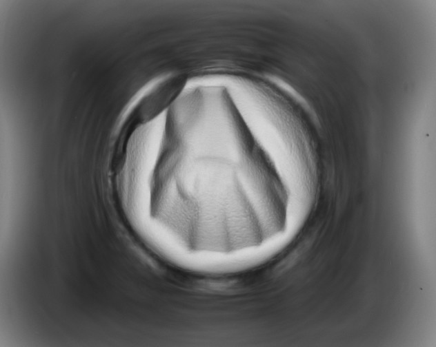 X0000085291325200703301929