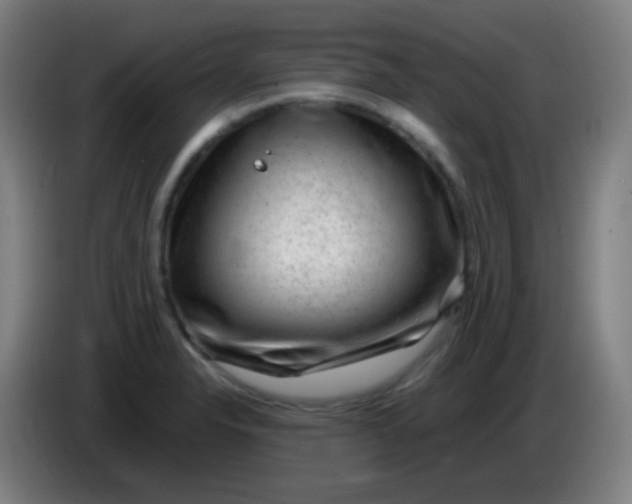 X0000085291326200703301929