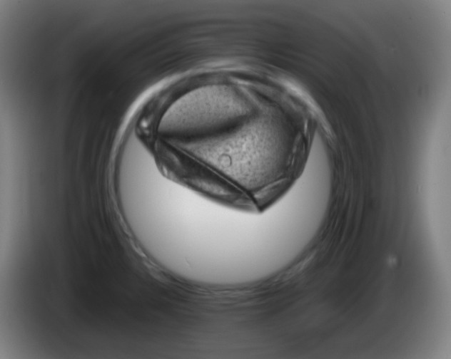 X0000085291328200703301929