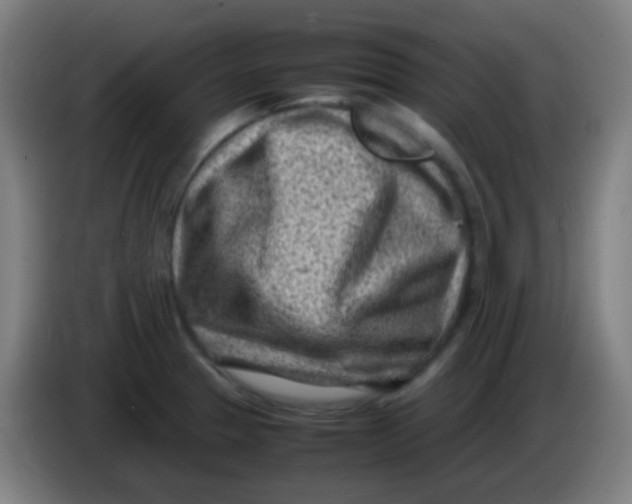 X0000085291329200703301929