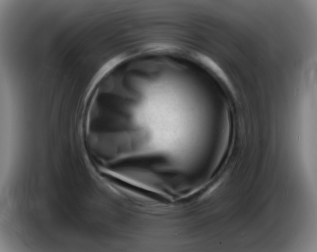 X0000085291330200703301929