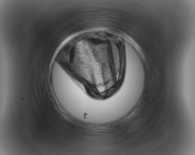 X0000085291332200703301929