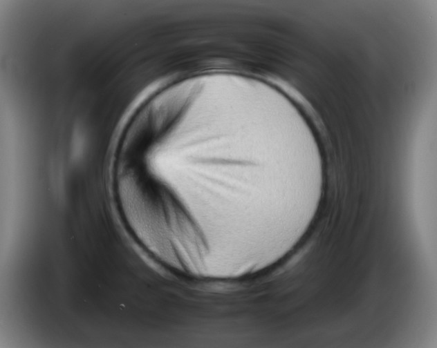 X0000085291333200703301929