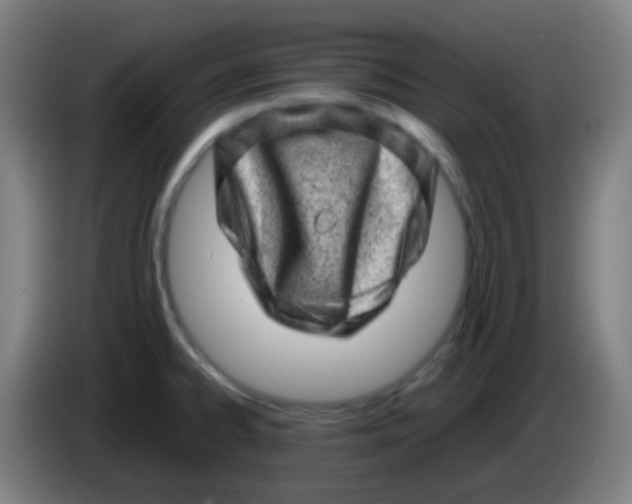 X0000085291334200703301929