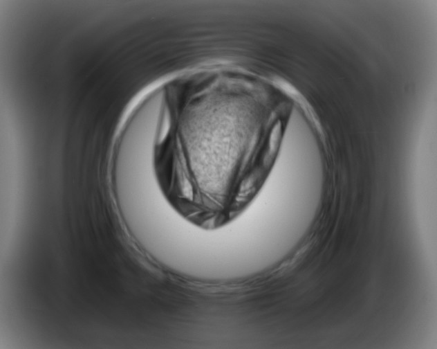 X0000085291336200703301929