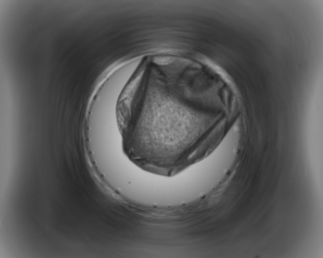 X0000085291338200703301929