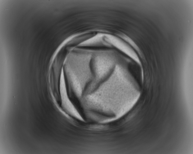 X0000085291339200703301929