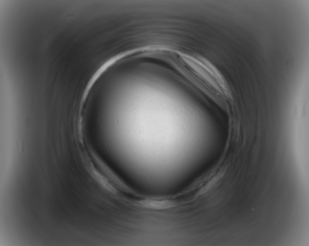 X0000085291340200703301929