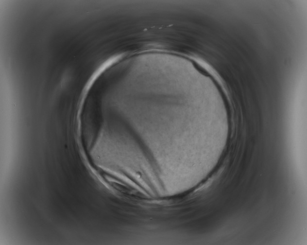 X0000085291341200703301929
