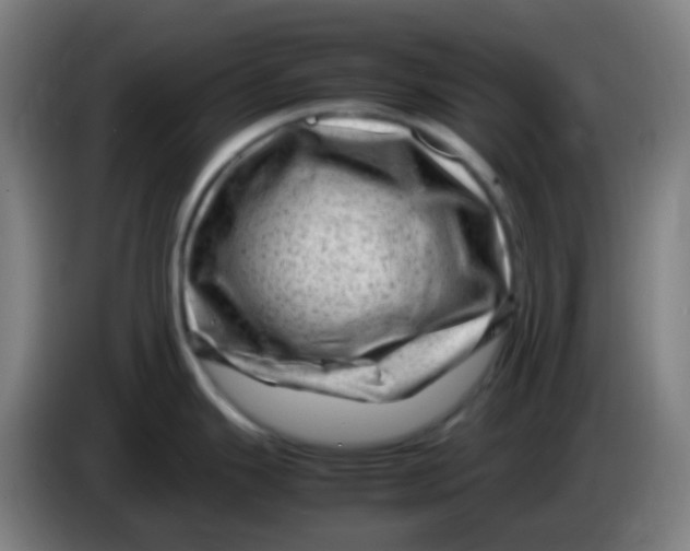 X0000085291343200703301929