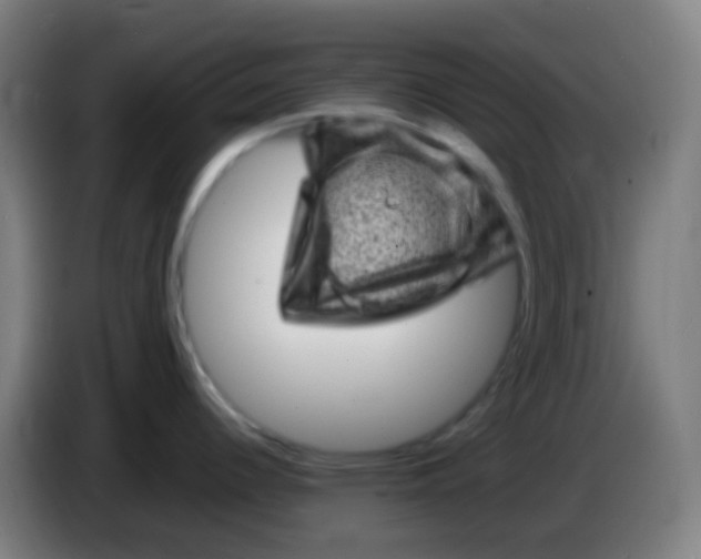 X0000085291344200703301929