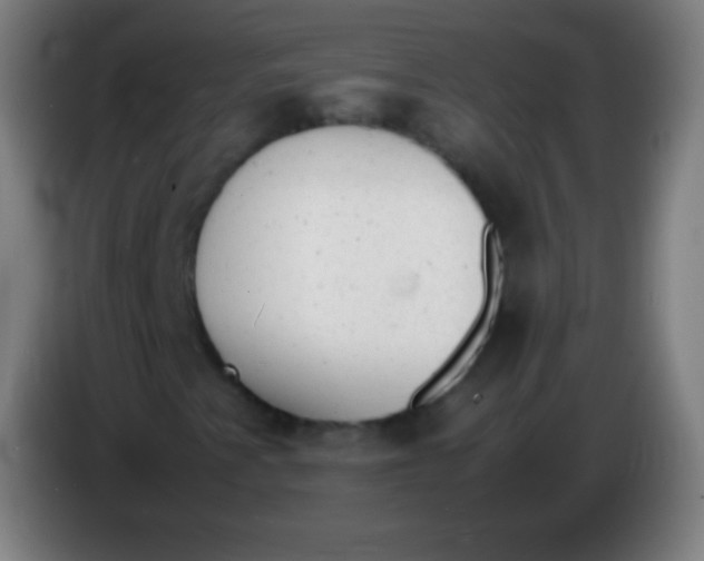 X0000085291345200703301929
