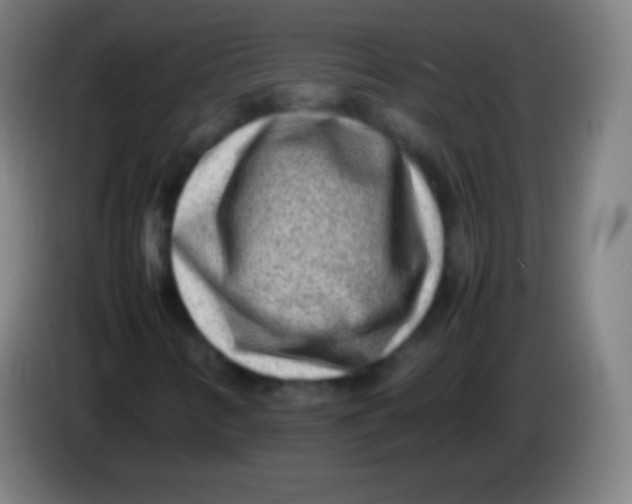X0000085291346200703301929