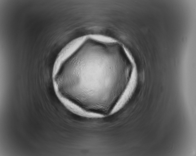 X0000085291347200703301929