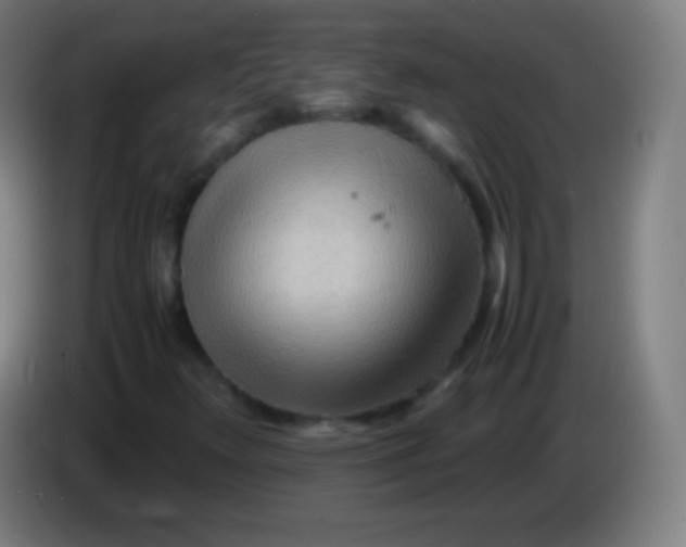 X0000085291348200703301929